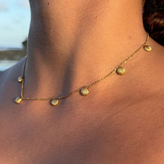 Cadena conchas