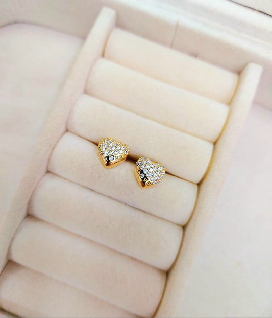 Corazón con microcircones