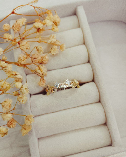 Anillo doble corona